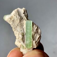 40 Cts Beautiful Terminated Tourmaline Crystals on Quartz  from Afghanistan picture