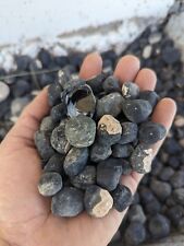 Raw Native Arizona Apache Tears Obsidian - 1 Pound Bulk Natural Stone picture