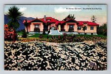 Southern, CA-California, A Daisy Garden Antique, Vintage Souvenir Postcard picture