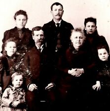 c1880s Elmwood, Illinois Family Cabinet Card Photo Sunbeam Gallery L.L. Booth B1 picture