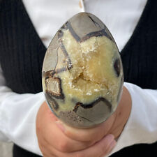 1.98LB Natural Polished Dragon Septarian Quartz Egg Mineral Healing TQS9227 picture