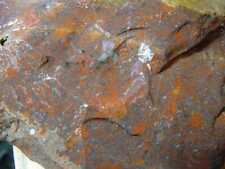 Splendid INDEPENDENCE DAY JASPER …  4 lb … old-collection material … Edmonds, WA picture