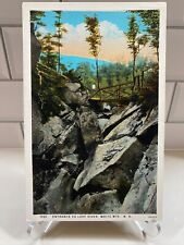 c1915 Entrance To Lost River White Mountains Bath New Hampshire NH Vtg Postcard picture