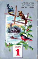 1908 New Years Day Greetings Embossed Postcard- Birds Church January 1 picture