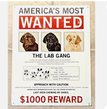 America's Most Wanted The Lab Gang Labrador Retriever $1000 Reward Metal Sign picture