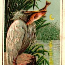 c1880s Pelican Stork Bird Victorian Trade Card Bookmark Moonlight Lake Shore C40 picture