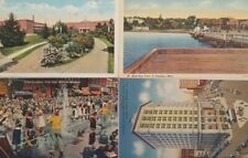 4 Michigan Postcards Roosevelt Hall Petoskey Square Holland Scrubbers Rectangle picture