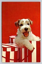 Dog Postcard Fox Terrier in Gift Bag Hi There  Vintage Unused picture