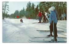 New Hampshire NH Postcard Snow Ski c1960s picture