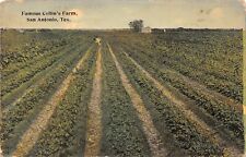 Famous Collins Farm San Antonio Texas 1915 Postcard picture