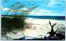 Postcard - Beautiful white sandy beach on Florida's coasts - Florida picture
