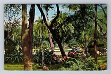 Tampa FL-Florida, Plant Park, Antique Vintage Souvenir Postcard picture