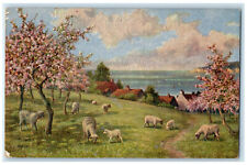 c1910 Sheep River Joyous Spring Unposted Embossed Oilette Tuck Art Postcard picture