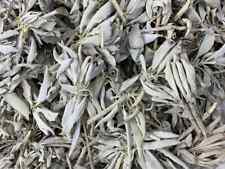 White Sage Loose Cluster Bulk (1 pound) NEW  picture