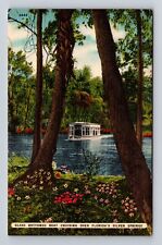 Silver Springs FL- Florida, Glass Bottomed Boat Cruising, Vintage Postcard picture