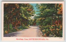 Postcard Vintage Street View Linen Greetings From South Mountain, PA picture