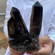 680g Large Natural  Smoky Black Quartz Crystal Cluster Raw Mineral Specimen picture