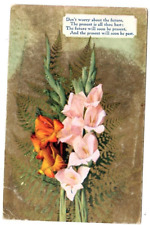 1909 Don't Worry About the Future Postcard Poem Gladiolas Floral Bouquet Gilt picture