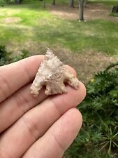 Native American Texas Arrowhead Point Artifact picture