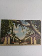  Vintage Postcard Hialeah Race  Course Track Miami Florida 1950s Drive to Club picture
