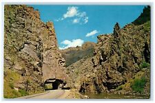 c1960's The Tunnel Little Narrows Scene Fort Collins Colorado CO Trees Postcard picture