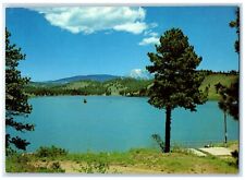 c1960 Monument Lake Fishing Hunting Recreational Area Trinidad Colorado Postcard picture