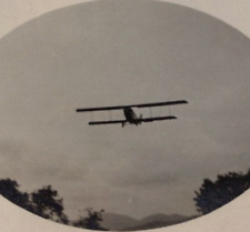 6Y Photograph Artistic View Biplane Over Head Flying Circus Portland 1910-20's picture