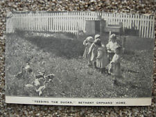 WOMELSDORF PA-BETHANY ORPHANS HOME-CHILDREN FEEDING DUCKS-READING-BERKS COUNTY picture