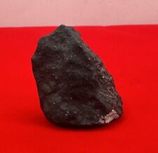 Oued Sfayat Chondrite Meteorite,  H5 Chondite, Astronomy Gift, COA, 15.14 Grams picture