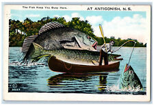 c1920's Two Giant Fishes Keep Busy Here Antigonish Nova Scotia Canada Postcard picture