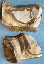 African Queen Picture Jasper Rough - 2 pieces, 3 Lbs Total picture