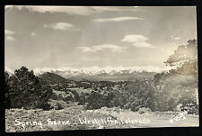 Vintage Postcard Westcliffe Colorado RPPC Spring Scene Mountains Trees Post 1947 picture