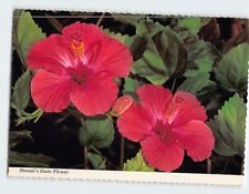 Postcard The Hibiscus Hawaii State Flower Hawaii USA picture