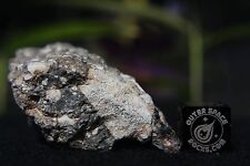 NWA 11266 Official Lunar Feldspathic Regolith Breccia Meteorite 20.5 gram frag picture