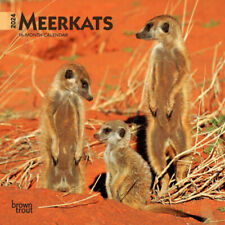 Browntrout Meerkats 2024 7 x 7 Mini Calendar w picture