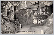 Midwaay Entrance Avenue Caverns Luray Virginia Interior Black White WOB Postcard picture