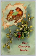 1908 Vintage Best Christmas Wishes Embossed Postcard Loving Birds picture