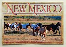 Postcard NM. Horses. New Mexico  picture