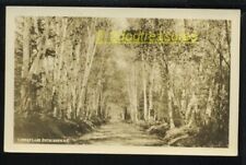 Rppc Lovers Lane Bethlehem Nh New Hampshire Old Real Photo Grafton County picture