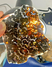 Rare Sericho Pallasite Olive Meteorite Specimen Slices picture