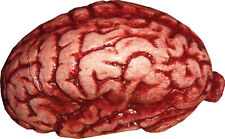 Brain Prop Realistic Plastic Halloween Haunted House Gory picture