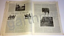 TYPES OF HORSES USED FOR MOUNTED POLICE 1914 PICTORIAL * NEW YORK & PHILADELPHIA picture