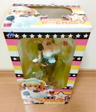 Super Pochaco Sonico Beer Maid Ver. 1/6 Scale Figure Japan w/Box picture