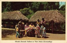 Opa-Locka FL Florida, Seminole Indians in Native Surroundings, Vintage Postcard picture