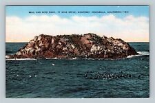 Monterey Peninsula CA, Seal And Bird Rock, California Vintage Postcard picture
