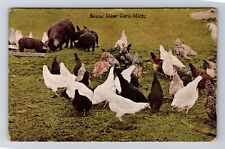 Caro MI-Michigan, General Greeting, Scenic Farm Animals Vintage Postcard picture