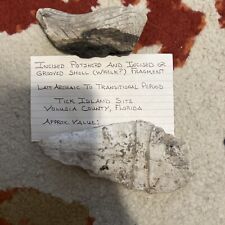 Indian Native American Incised Pottery Shard And Incised/Grooved Shell Fragment picture