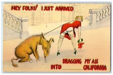 c1930's Woman Donkey Dragging My Ass Into California CA Vintage Postcard picture