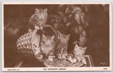 four cute kittens in a basket RPPC Real Photo 1910 picture