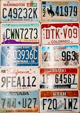 BULK LOT of 10 mixed states License Plates NICE QUALITY picture